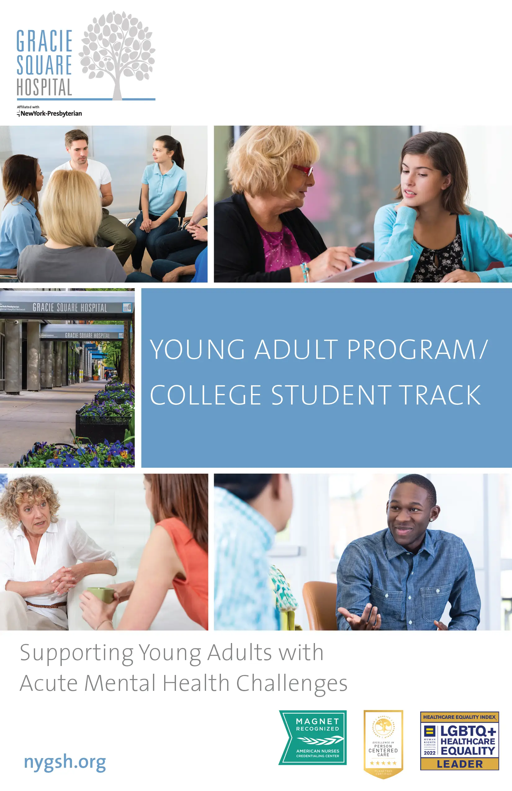 Gracie Square Young Adult Program/College Student Track Brochure